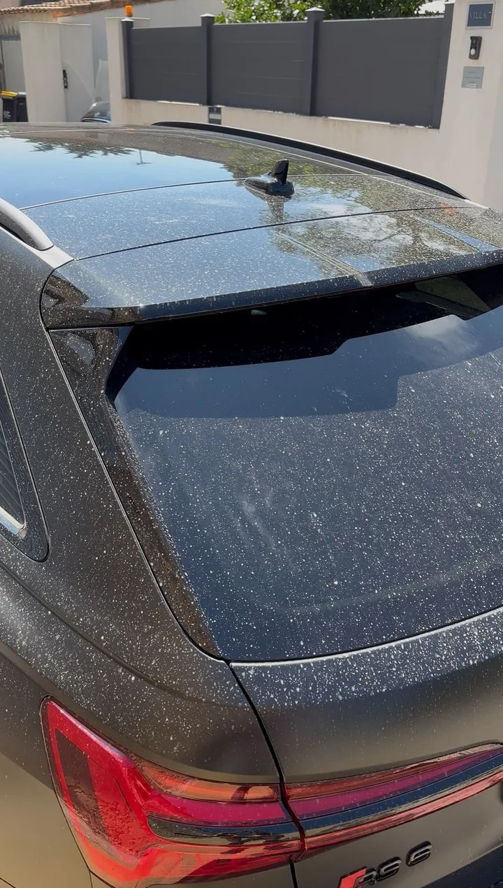 Toit et hayon d'Audi RS6 couverts de pollen et de poussière